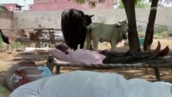 Нове довкола COVID-19 (відео) Нове довкола COVID-19 (відео)