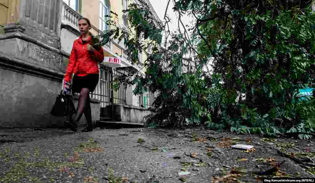 Дороги и тротуары после шторма оказались завалены ветками деревьев