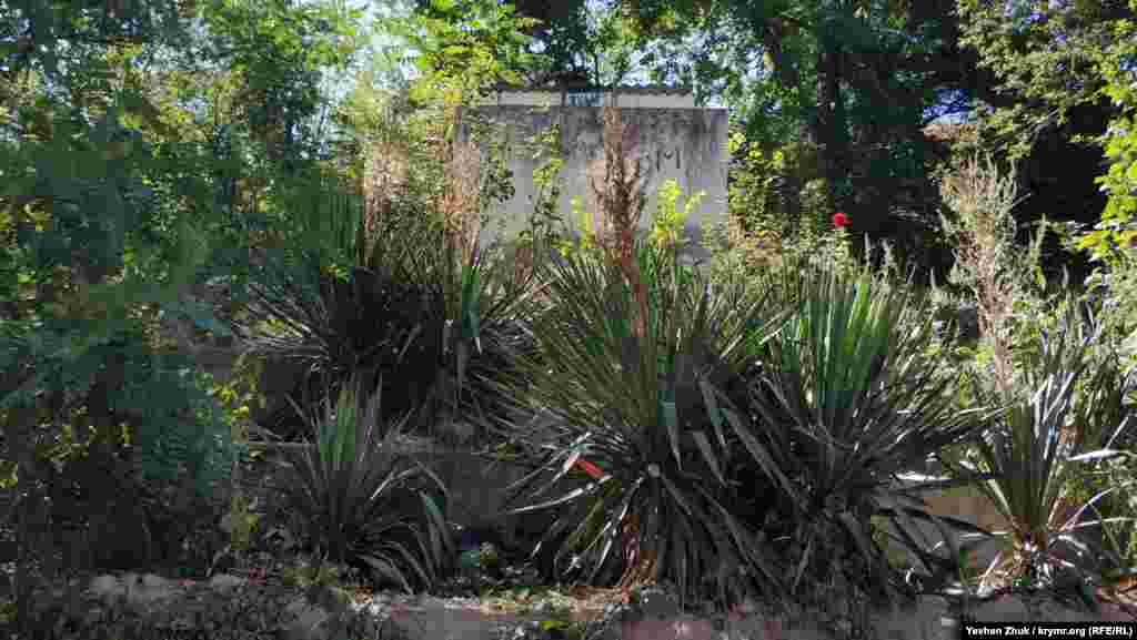 Общественный туалет «притаился» в зарослях