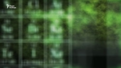 Запретят ли это видео? Запретят ли это видео?