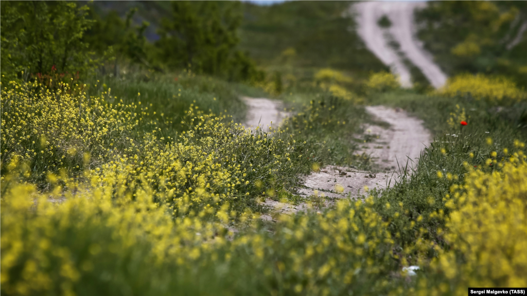 Проселочная дорога в окрестностях Белогорска (крымскотатарское название – Карасубазар)