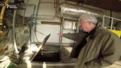 Таштандыдан биогаз алган ишкер Таштандыдан биогаз алган ишкер