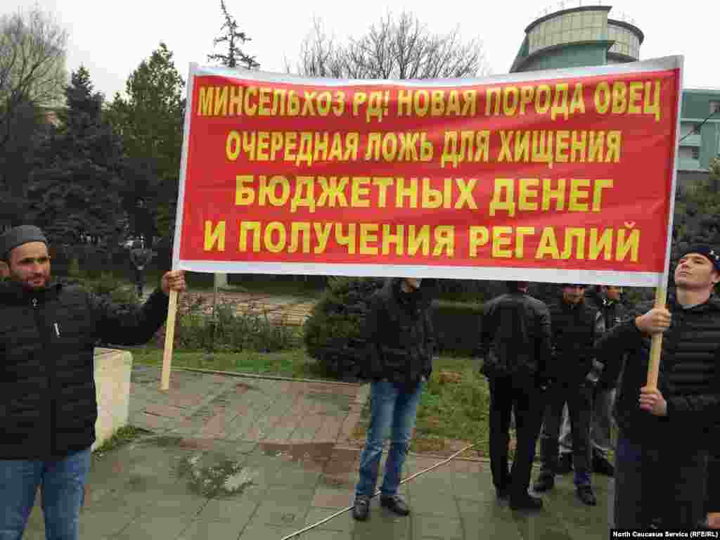 Председатель СПК Магомедзагид Хайбулаев совместно с Минсельхозом придумали новую породу овец - "артлухская". Именно это и высмеивают митингующие на одном из плакатов