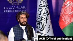 د افغانستان کرکټ بورډ مشر، حاجي عزیز الله فضلي