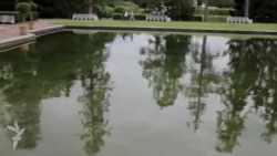 "Гражданин Пушкин" против Южного "Гражданин Пушкин" против Южного