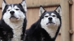 "Это разве поддержка? Это издевательство!" "Это разве поддержка? Это издевательство!"