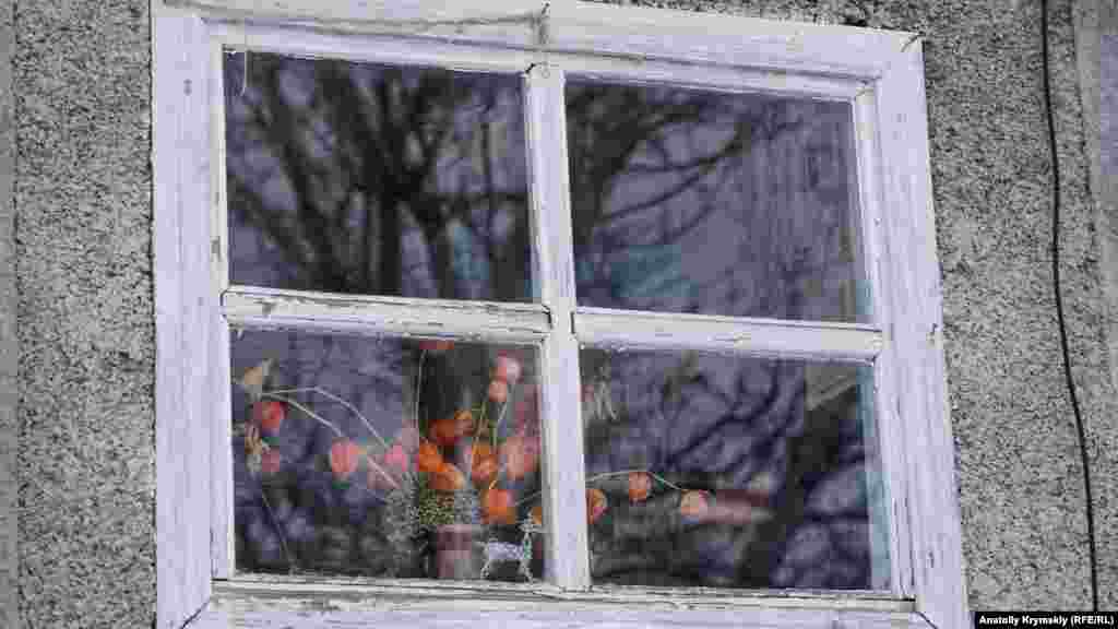 Осень «застыла» в дачном окне. Путешествие в Мраморное – на фото нашего корреспондента