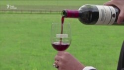 США вводять мита на італійський сир, французьке вино та низку інших європейських продуктів – відео