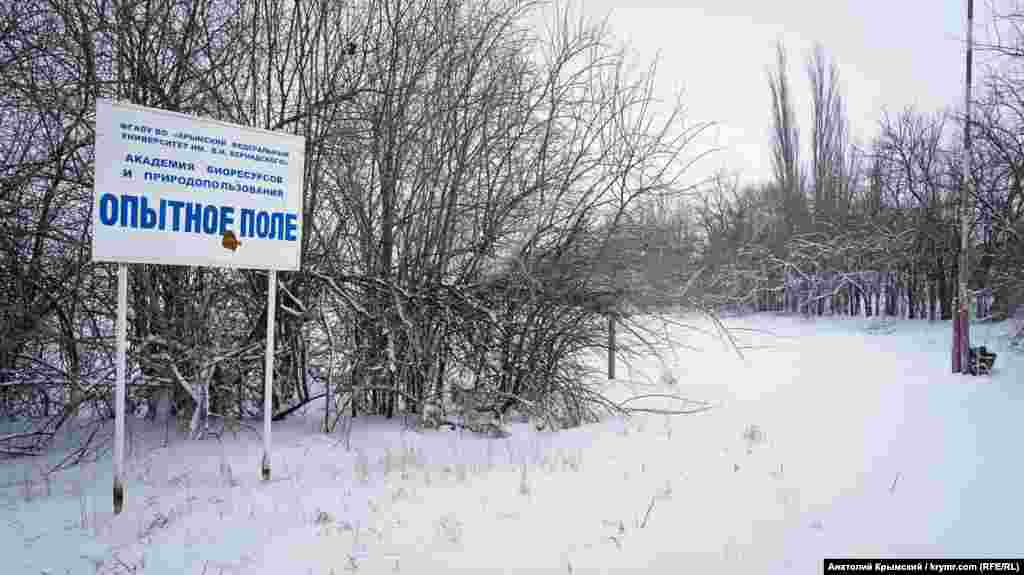 Рядом с футбольным полем – опытное поле Академии