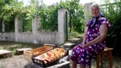 Бабушка с персиками, или Как живет крымское село у «марсианского озера» (видео) Бабушка с персиками, или Как живет крымское село у «марсианского озера» (видео)