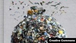 Катрин де Сильги. “История мусора”