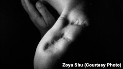 «Усе, що стосується України, схоже на імперські фантомні болі або фантомні болі за Радянським Союзом» – Зоя Шу