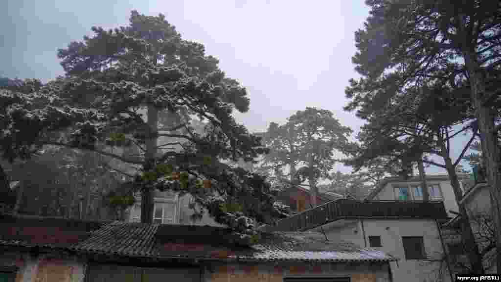 На верхушках сосен – остатки мокрого снега, который от малейшего дуновения ветра тяжелыми хлопьями сваливается на крыши жилищ и лесную подстилку 