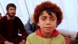 School Program Offers Signs Of Hope For Afghanistan's Stateless Jogi Minority School Program Offers Signs Of Hope For Afghanistan's Stateless Jogi Minority