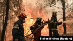 Potrivit autorităților de la Atena, Grecia trece prin mare catastrofă ecologică din ultimele decenii.