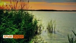Куда пропадает вода из крымских озер? | Крым.Реалии ТВ (видео) Куда пропадает вода из крымских озер? | Крым.Реалии ТВ (видео)