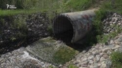 Выжить в Балашихе Выжить в Балашихе