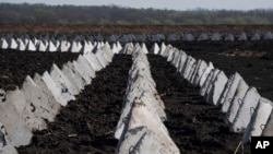 Оборонительные сооружения, которые также называют "зубами дракона"