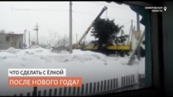 Чиновники вернули ёлку, которую незаконно срубили на участке местного жителя Чиновники вернули ёлку, которую незаконно срубили на участке местного жителя