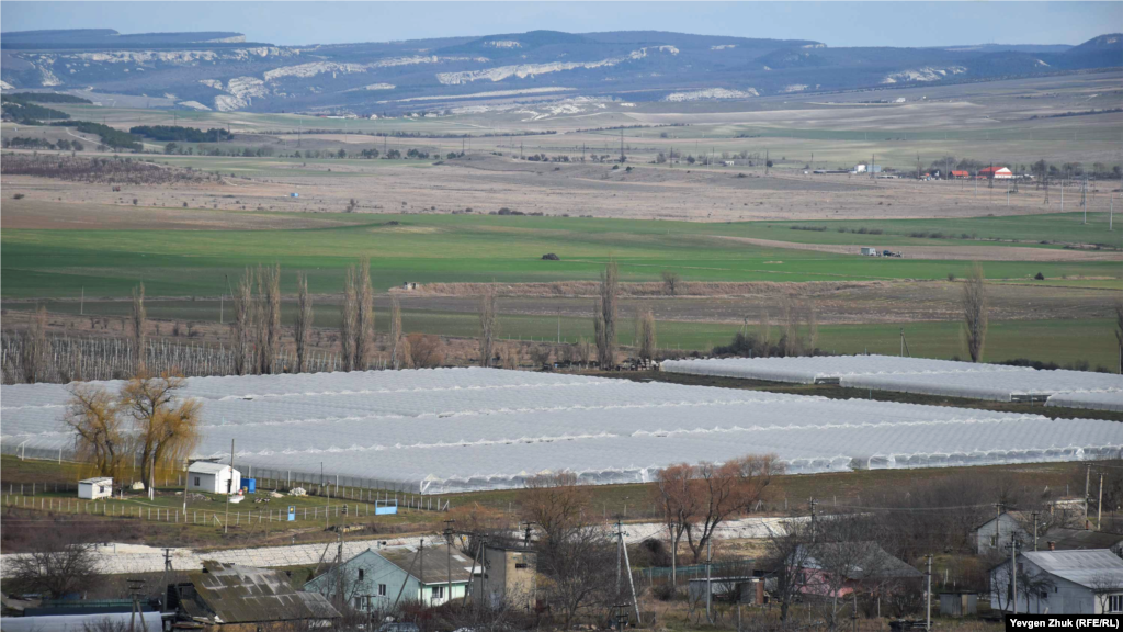Большое тепличное хозяйство 