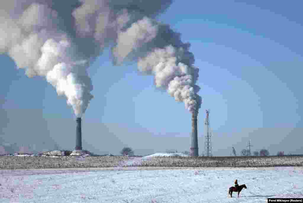 Беркутчі – учасник змагань традиційного мисливського конкурсу за участю ручних беркутів і яструбів – верхи на коні в Алмати, Казахстан, 2 грудня. (Reuters/Pavel Mikheyev)