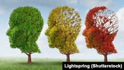 Ілюстраційне фото