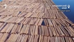 Лесоруб из таежного поселка рассказал, почему не остался жить в городе Лесоруб из таежного поселка рассказал, почему не остался жить в городе