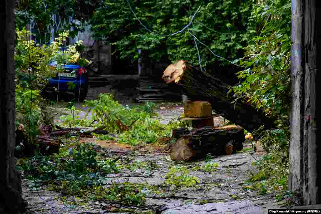 Последствия шторма люди будут устранять еще несколько дней