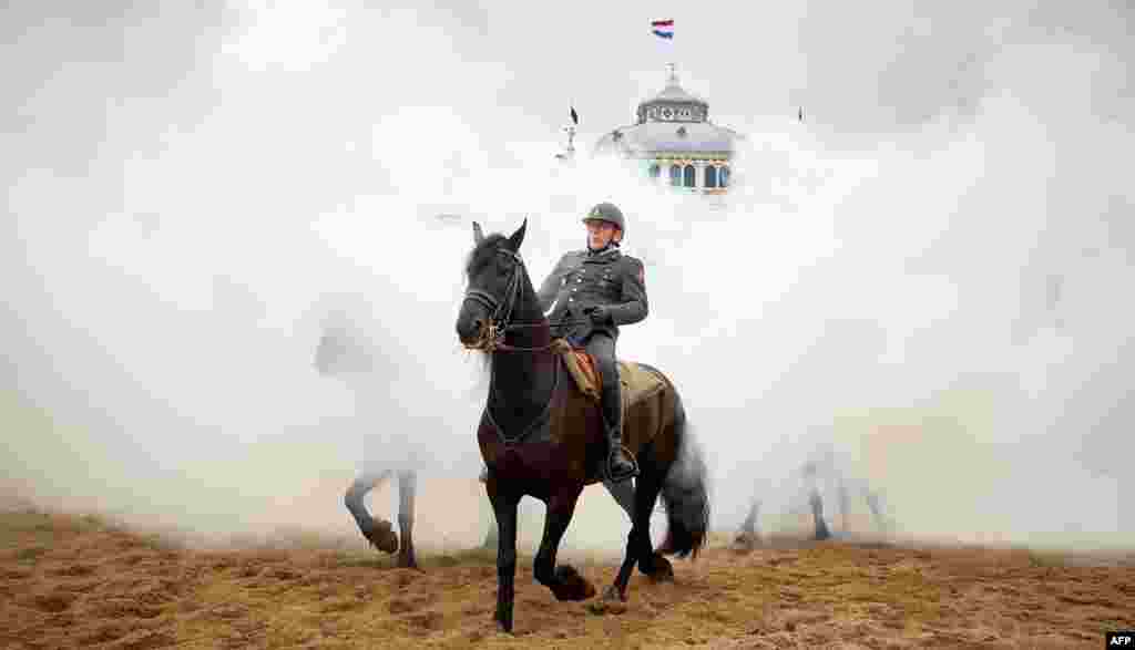 Этому коню выпала большая честь участвовать в конном параде в Нидерландах 14 сентября. В этот день - "День принцев" - король произносит тронную речь в честь новой программы правительства на следующий год