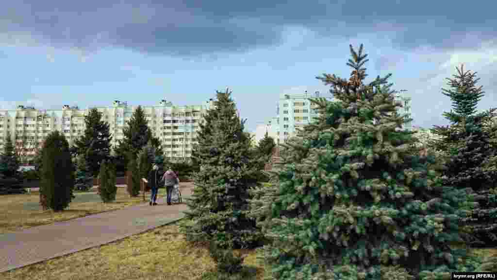 Из зеленых насаждений на «Красной горке» преобладают ели