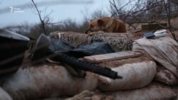 Українські розвідники утримують позицію під Горлівкою – відео Українські розвідники утримують позицію під Горлівкою – відео