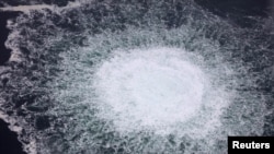 7 березня видання The New York Times із посиланням на свої джерела повідомило: дані розвідки свідчать про те, що проукраїнська група здійснила напад на газопроводи Nord Stream минулого року