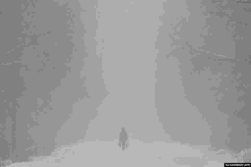 Женщина идет по дороге во время снегопада возле села Любучаны примерно в 45 км от Москвы. (AFP/Юрий Кадобинов)