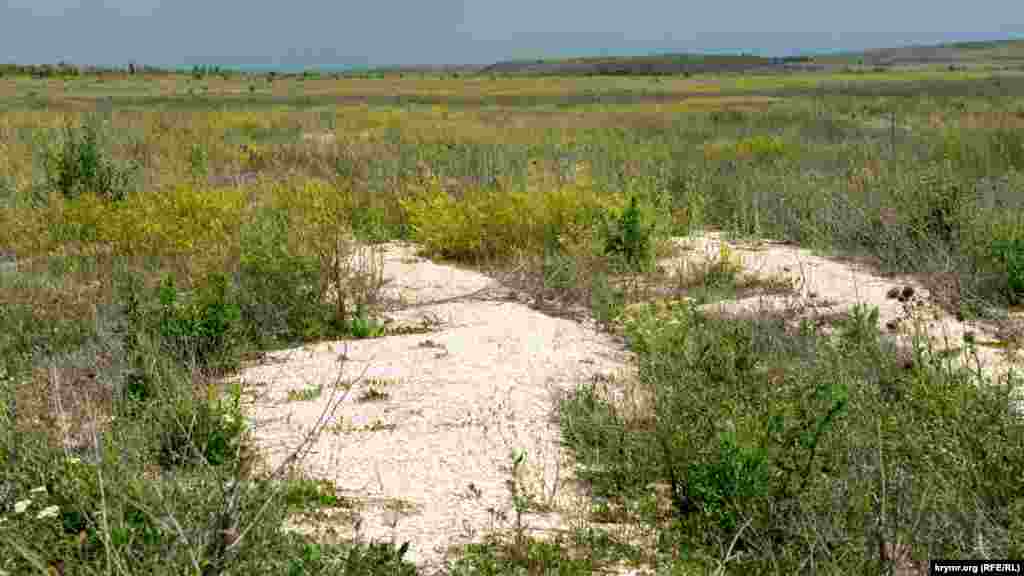 Повсюду – россыпи ракушек