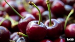 Генеральну асамблею Всесвітньої організації інтелектуальної власності (ВОІВ) закликали відреагувати на привласнення Росією географічного зазначення «Мелітопольська черешня»