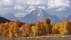 Кліматичний додаток NАSА. Люди з усього світу допомагають вченим реалізувати проєкт про Землю через свої телефони