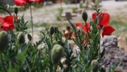 Вещи из 1944. Памятный кувшин (видео) Вещи из 1944. Памятный кувшин (видео)