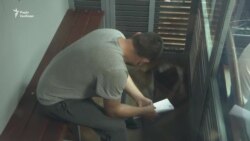 Суд у справі підозрюваних у вбивстві 5-річного хлопчика полійцейських – відео засідання Суд у справі підозрюваних у вбивстві 5-річного хлопчика полійцейських – відео засідання