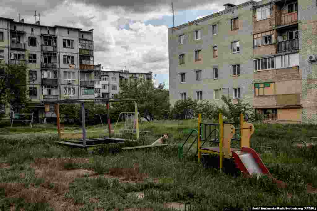 Дітей у місті офіційно немає, проте іноді батьки повертаються з ними після евакуації і переховують їх від поліції й соціальних служб