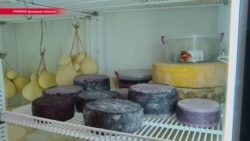 Донбасс: как фермер варит итальянский сыр (видео) Донбасс: как фермер варит итальянский сыр (видео)