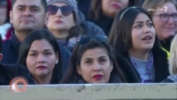 د ډېسېمبر ۲۵مې ویډیويي خبرونه د ډېسېمبر ۲۵مې ویډیويي خبرونه