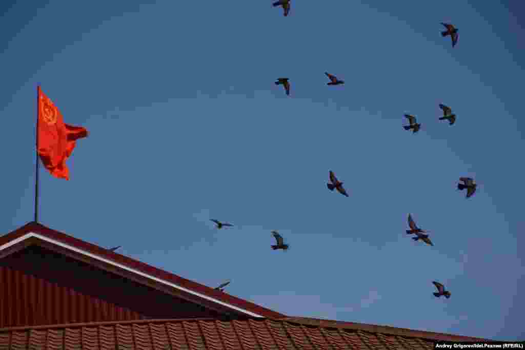 Над административным зданием сельхозпредприятия здесь развевается красный флаг. 