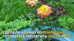 В Казани ТСЖ оштрафовали за благоустройство В Казани ТСЖ оштрафовали за благоустройство
