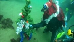 Подводная елка и хоровод в Черном море: как дайверы из Нового Света встречают зимние праздники (видео) Подводная елка и хоровод в Черном море: как дайверы из Нового Света встречают зимние праздники (видео)