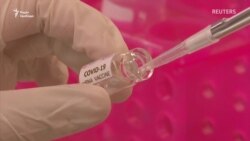 Інфікуйте мене COVID: чому добровольці наражають себе на ризик, аби прискорити створення вакцини – відеорепортаж Інфікуйте мене COVID: чому добровольці наражають себе на ризик, аби прискорити створення вакцини – відеорепортаж