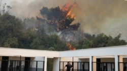 'Širilo se nenormalnom brzinom': Crna Gora drugi dan u borbi s požarima 'Širilo se nenormalnom brzinom': Crna Gora drugi dan u borbi s požarima