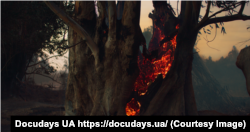 Кадр із фільму «Вогняне місто»