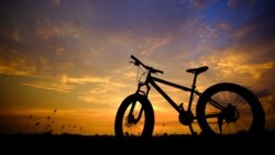 Археология. Чудо на колесах Археология. Чудо на колесах